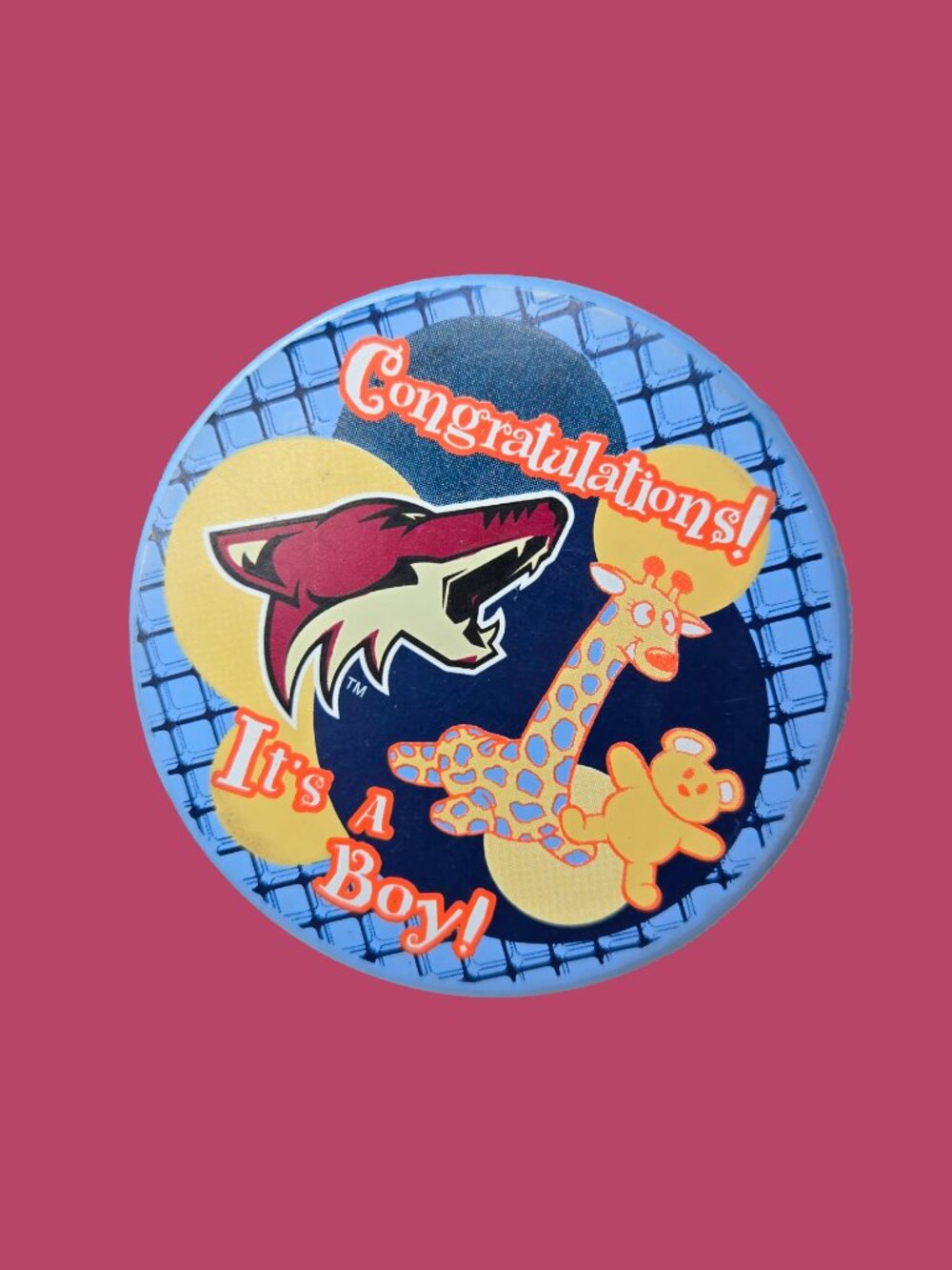 Rare Phoenix Coyotes Hockey Puck